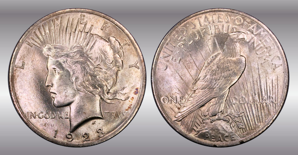 My-Raw-Peace-Dollar-Collection.-.-.-.-Warning!